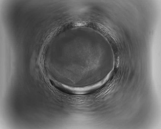 X0000096411441200801241211