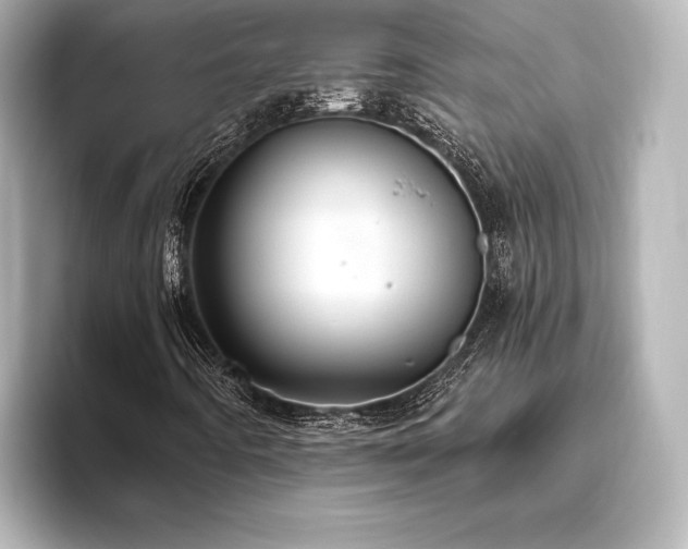 X0000096411442200801241211
