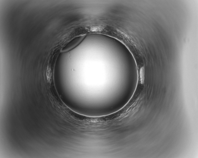 X0000096411443200801241211