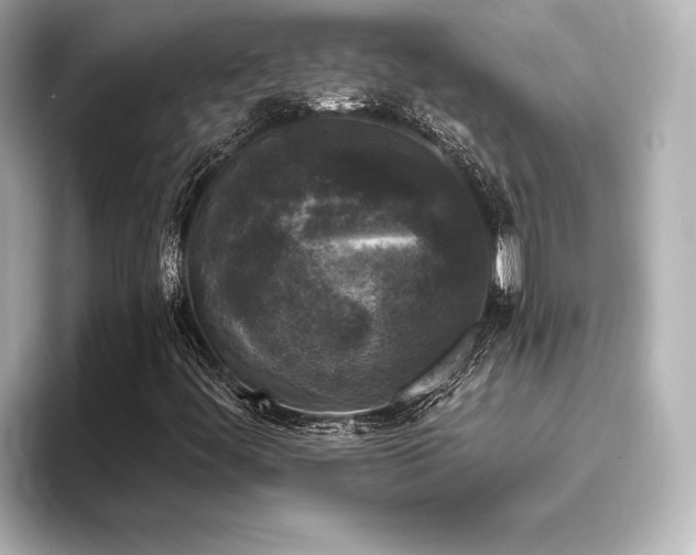 X0000096411444200801241211
