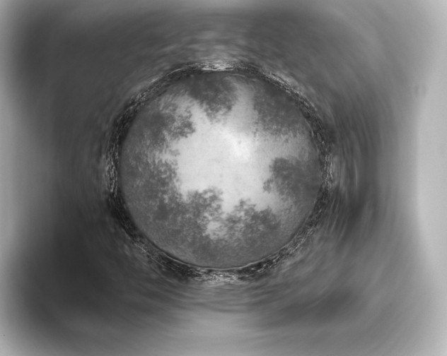 X0000096411446200801241211