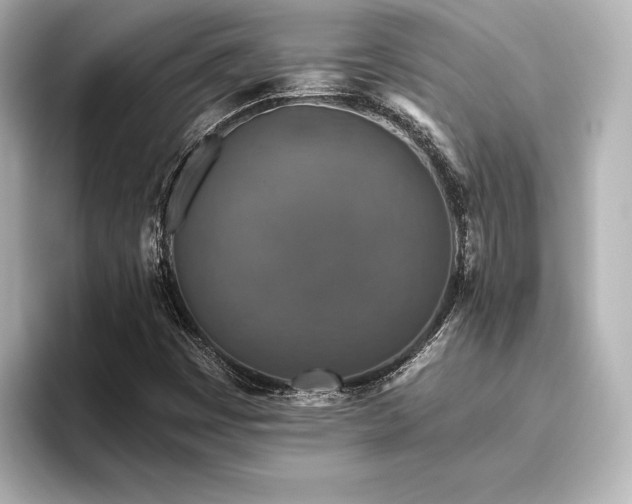 X0000096411449200801241211