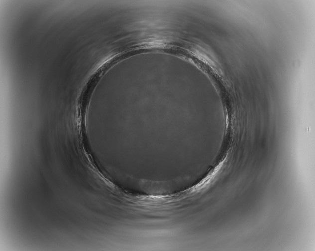 X0000096411450200801241211