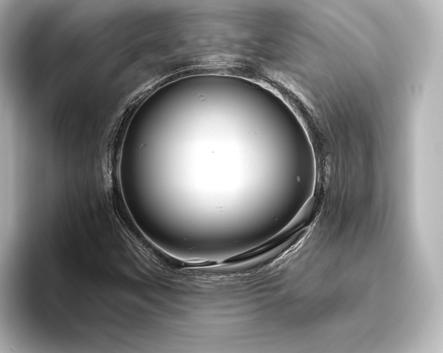 X0000096411451200801241211