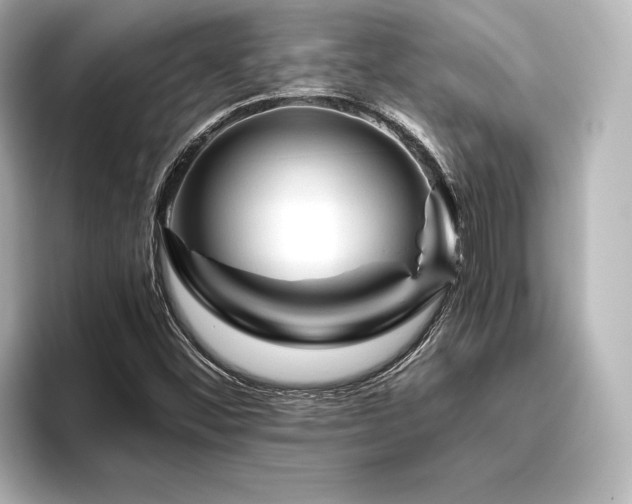 X0000096411452200801241211