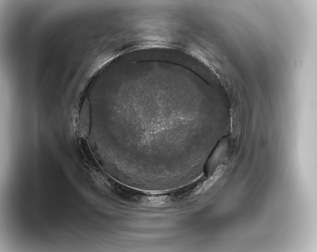 X0000096411453200801241211