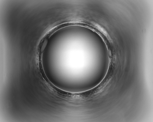 X0000096411456200801241211