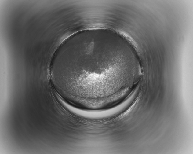 X0000096411457200801241211