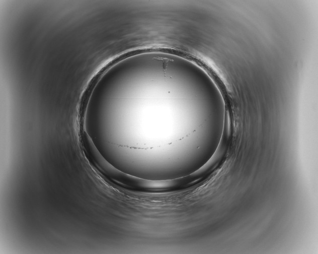 X0000096411460200801241211
