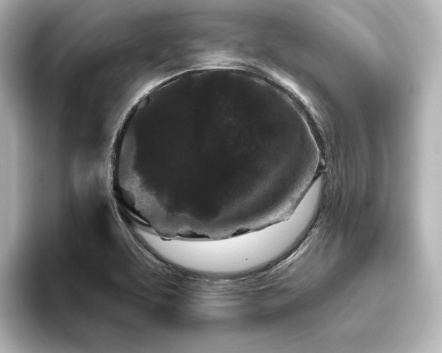 X0000096411463200801241211