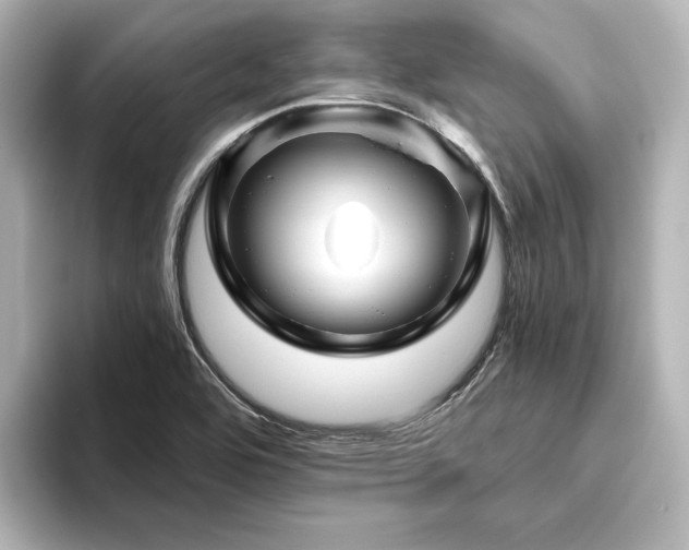 X0000096411464200801241211