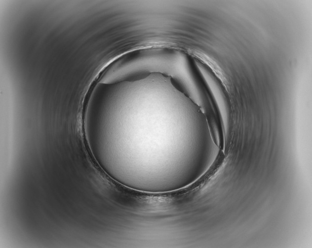 X0000096411465200801241211