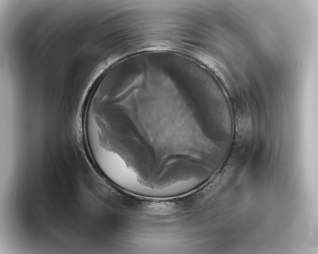 X0000096411466200801241211