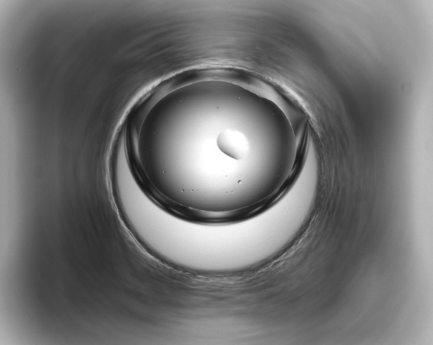 X0000096411468200801241211