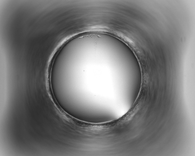 X0000096411470200801241211