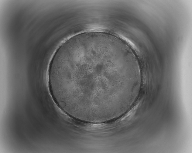 X0000096411471200801241211