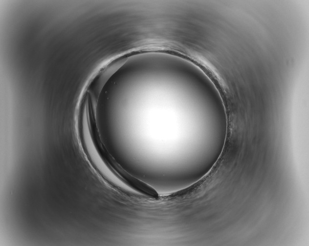 X0000096411472200801241211