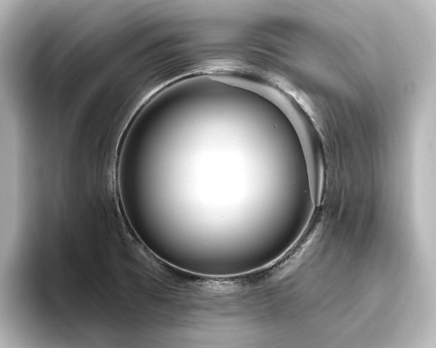 X0000096411473200801241211