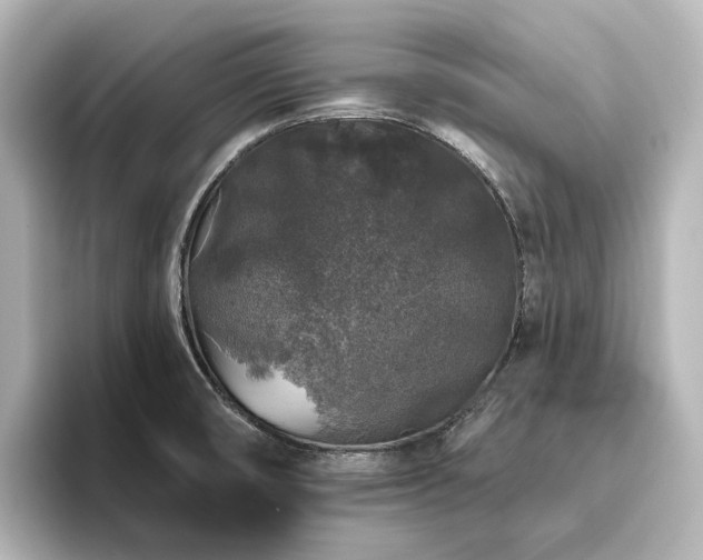 X0000096411474200801241211