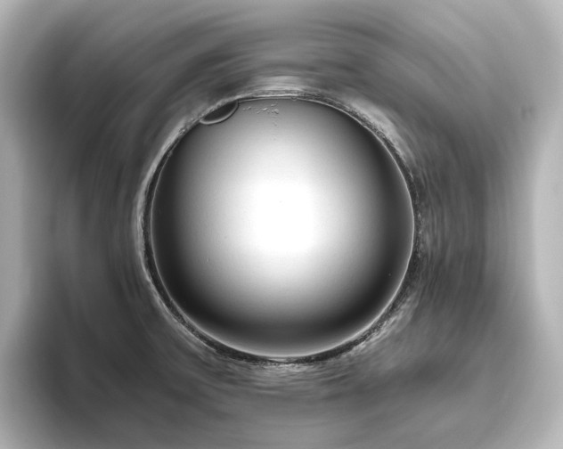 X0000096411475200801241211