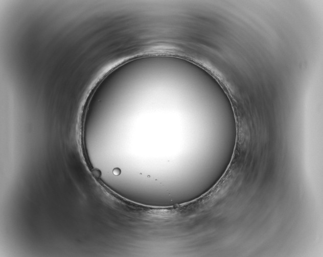 X0000096411478200801241211