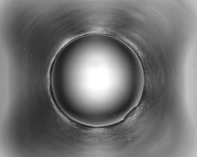 X0000096411479200801241211