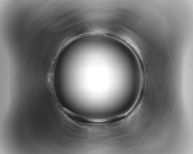 X0000096411481200801241211