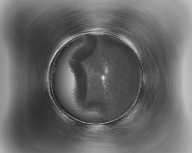 X0000096411482200801241211