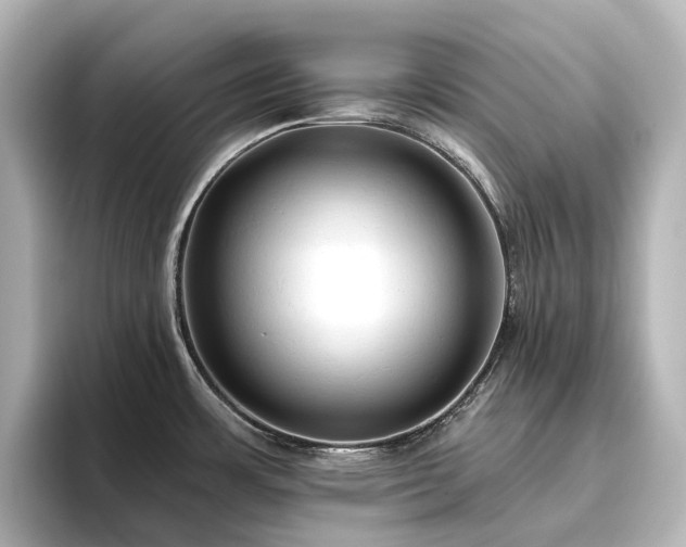 X0000096411483200801241211