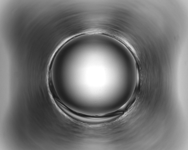 X0000096411484200801241211
