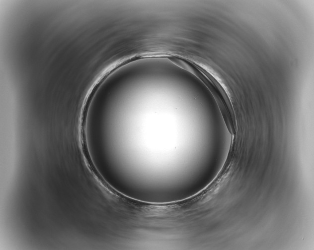 X0000096411485200801241211