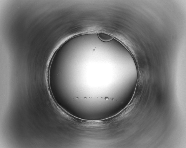 X0000096411486200801241211