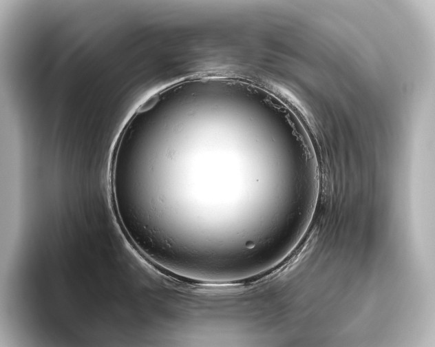 X0000096411487200801241211