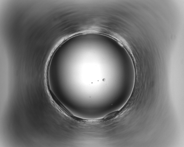 X0000096411488200801241211