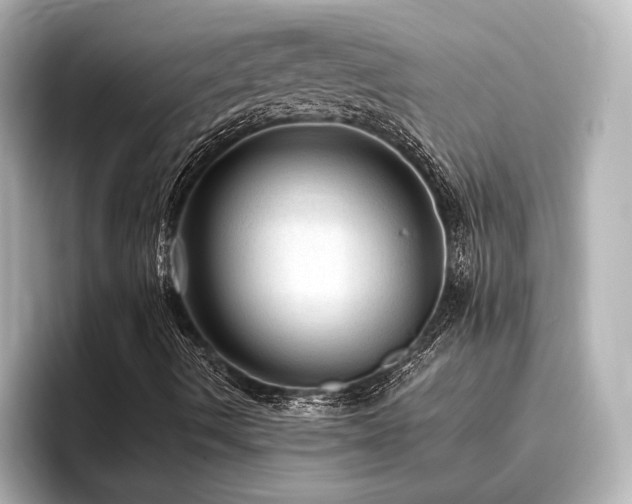 X0000096411490200801241210