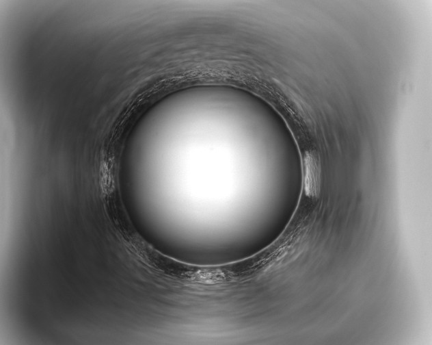 X0000096411491200801241210