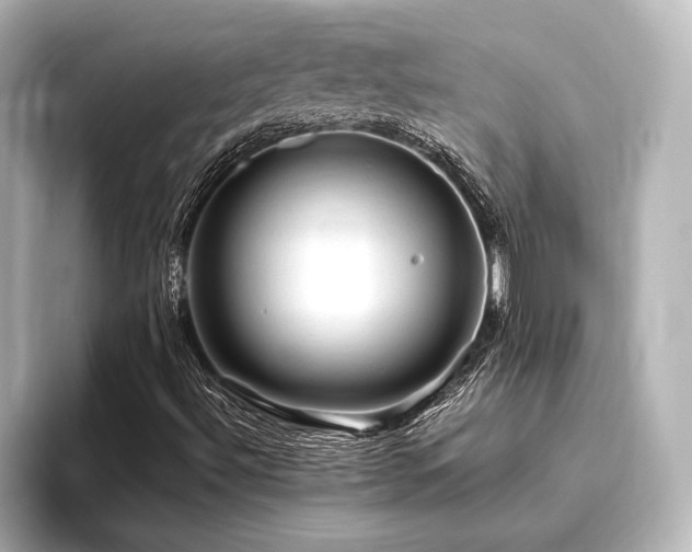 X0000096411492200801241210