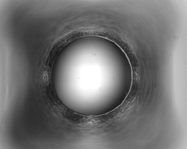 X0000096411493200801241210