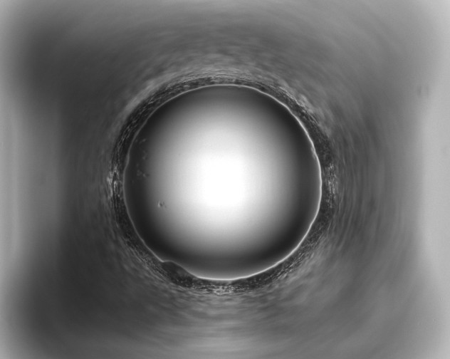 X0000096411495200801241210