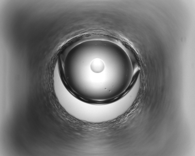 X0000096411496200801241210