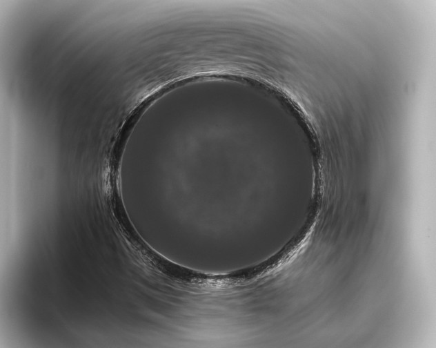 X0000096411497200801241210