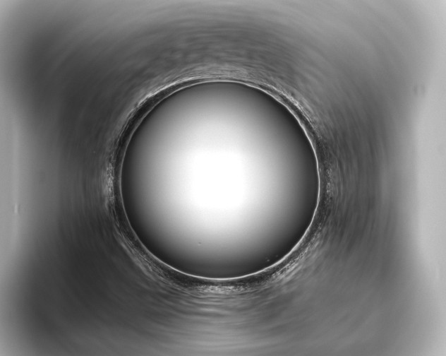 X0000096411499200801241210
