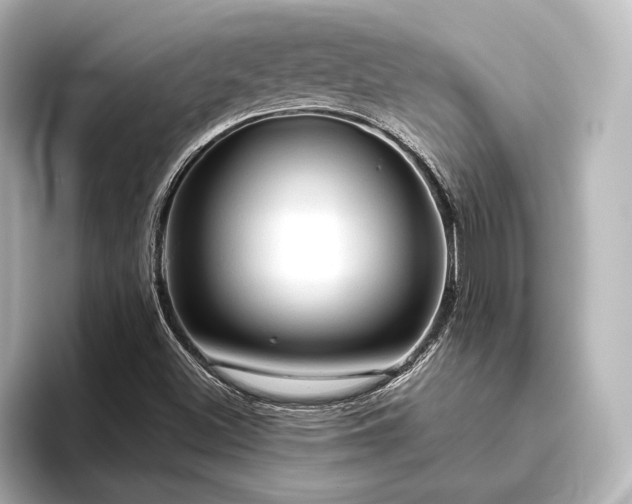 X0000096411500200801241210