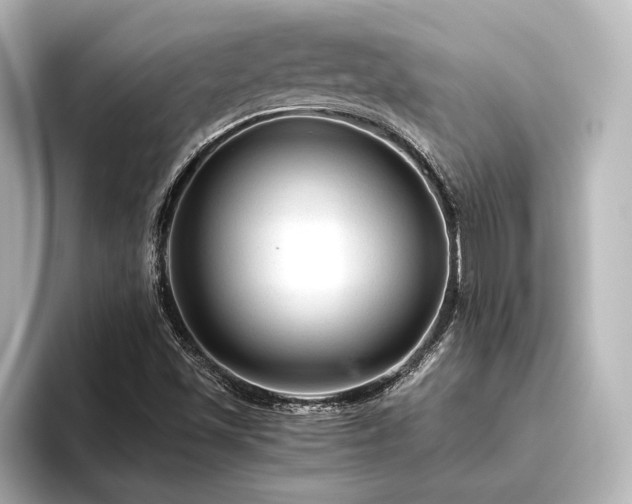 X0000096411501200801241210