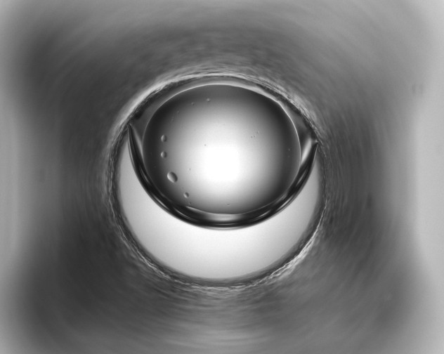 X0000096411502200801241210