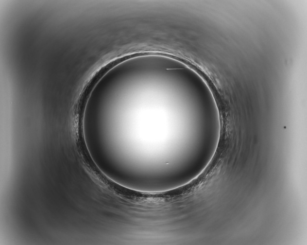 X0000096411503200801241210
