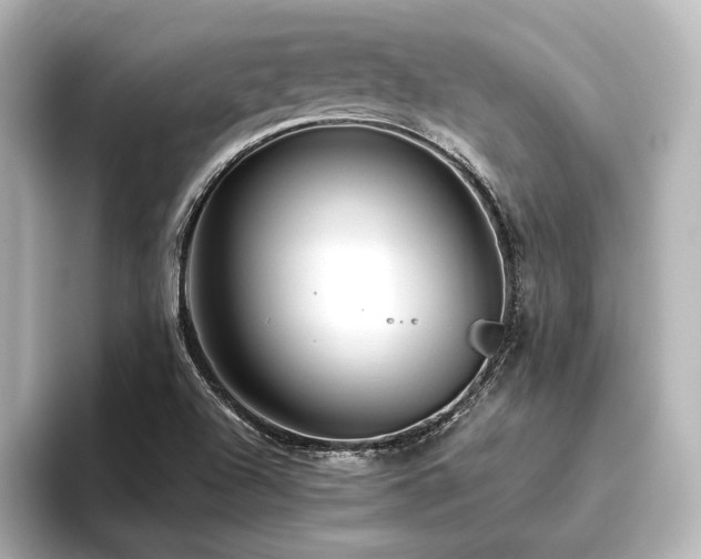X0000096411504200801241210