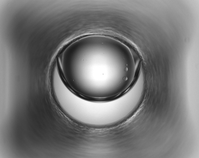 X0000096411506200801241210