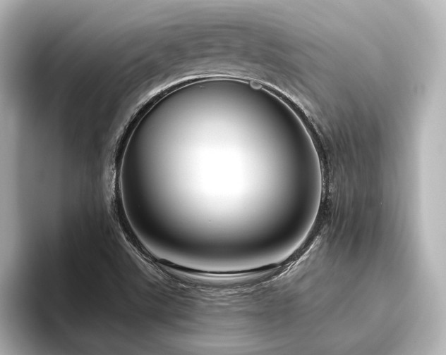 X0000096411507200801241210