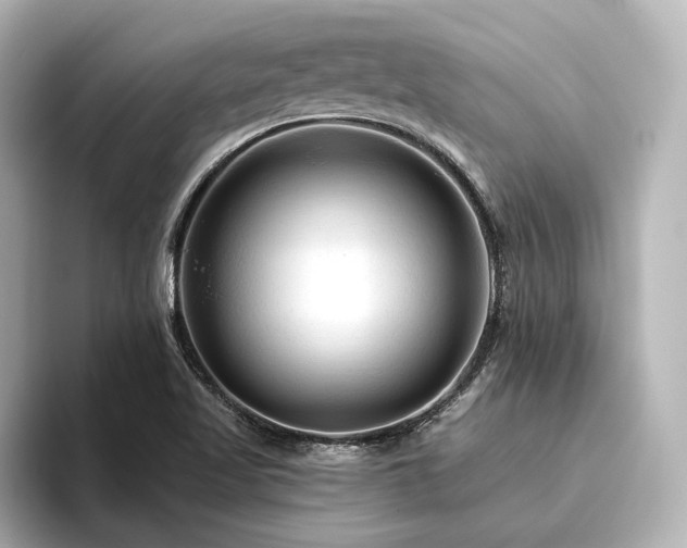 X0000096411509200801241210